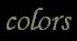 PAINTIQUE homepage